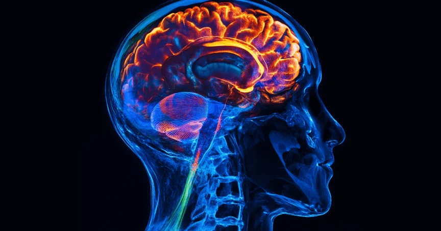 The Effects of Watching Too Much Porn: Understanding the Impact